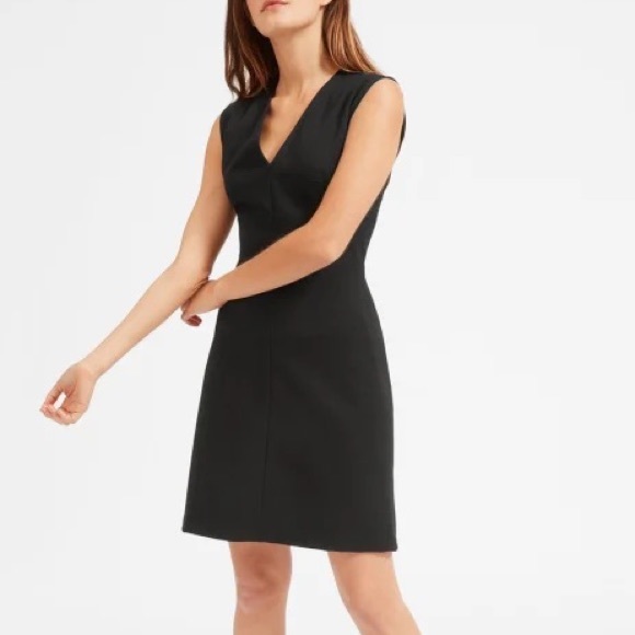 Everlane Dresses & Skirts - Everlane The Sleeveless V Neck Flare Dress in Black Sz 4